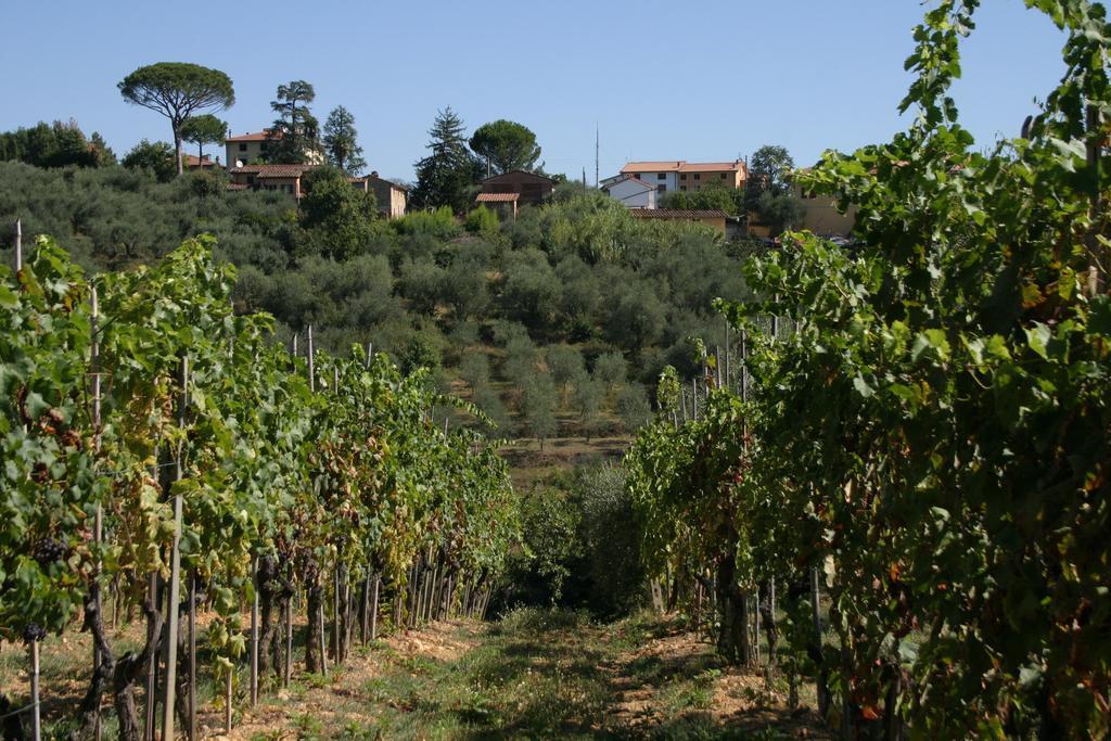 Casa Fontanino Bed and Breakfast Altopascio Exteriör bild